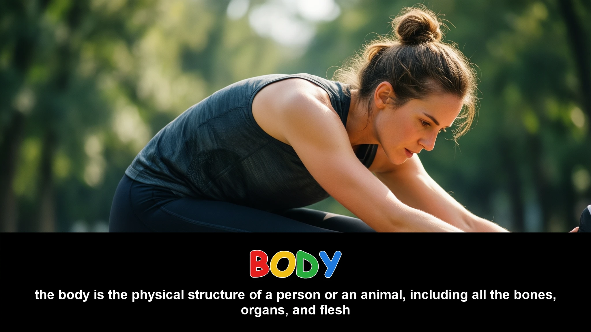 English Illustration for body